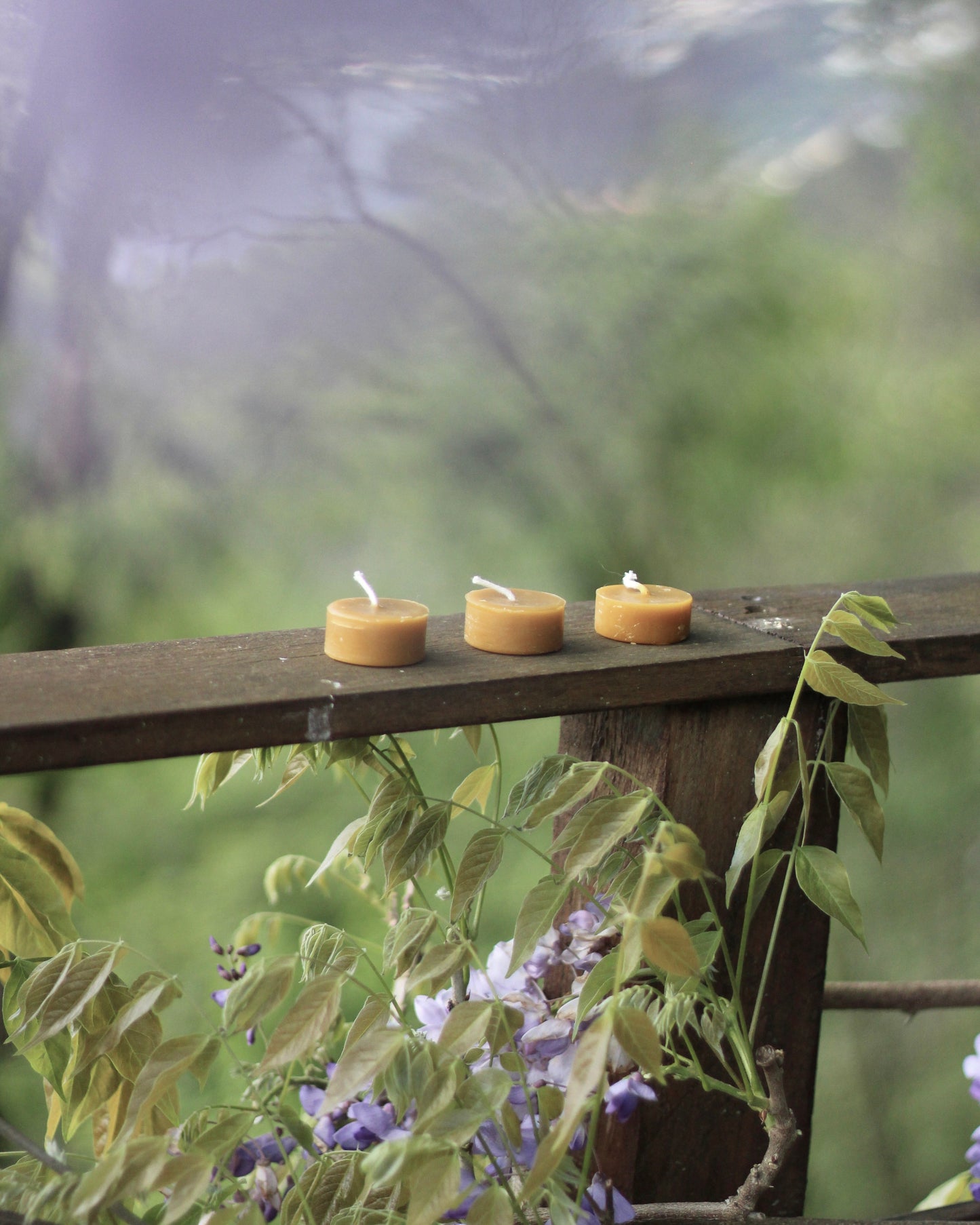 Tealights