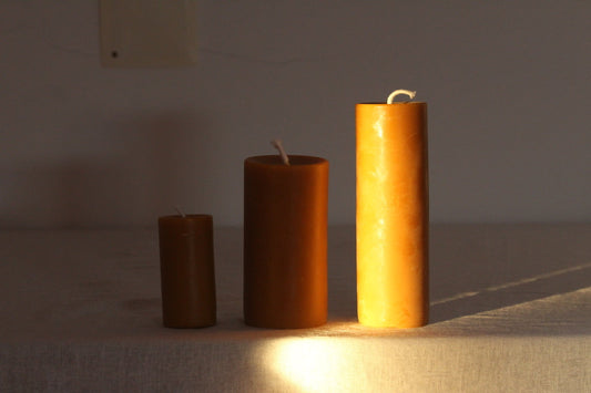 Why Beeswax Candles Deserve a Little Extra Love